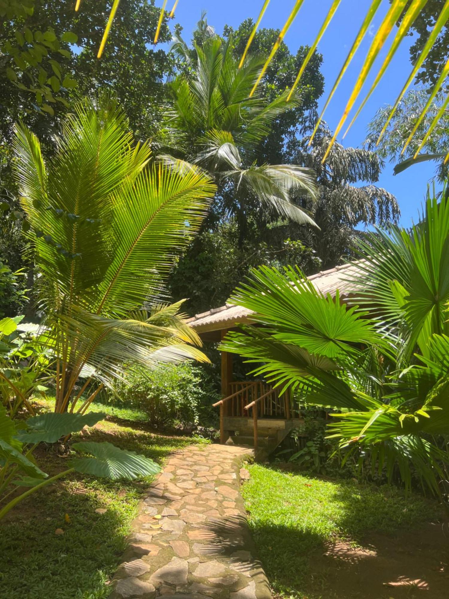 Into The Blue - Yoga Included & Walk To 3 Beaches Tangalle Exterior foto